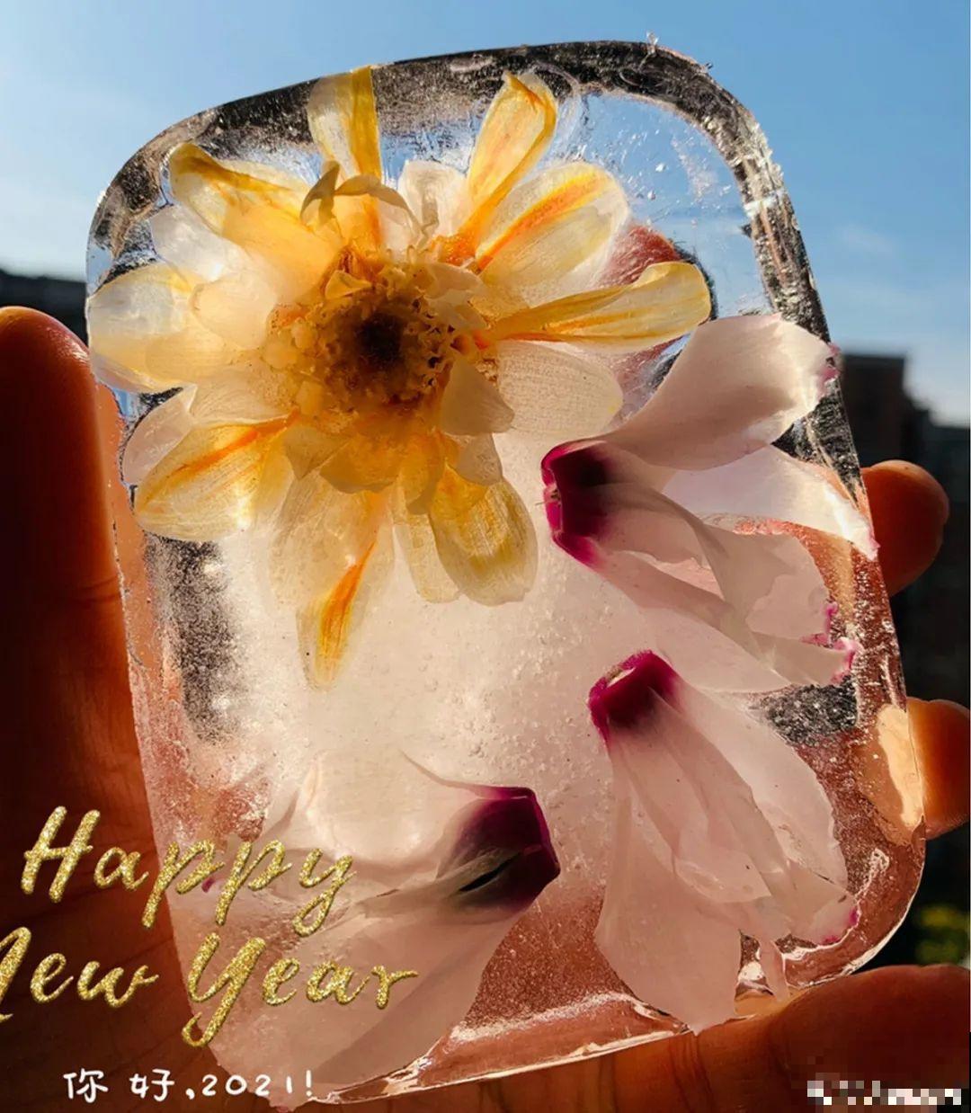 水里摆上花朵，室外冻一冻，简直美翻了！