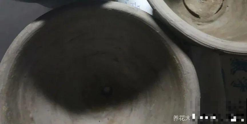 选不对花盆，啥花都被你养死了！