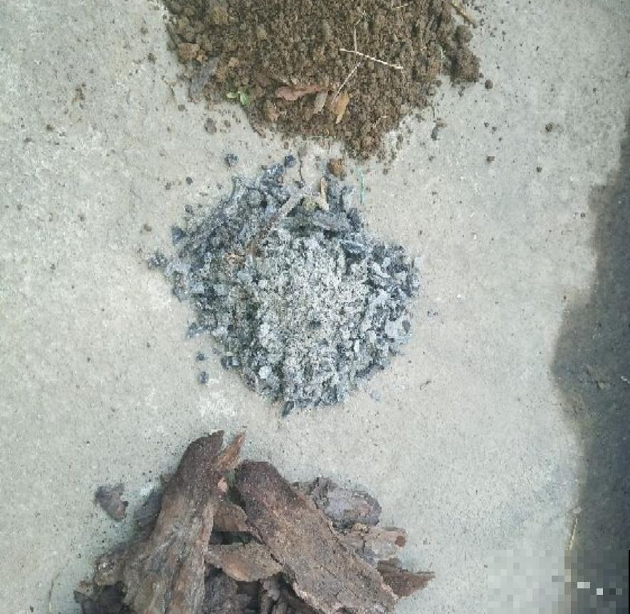 氮磷钾肥不用买，找点“垃圾”就能做，省下钱去吃大餐！