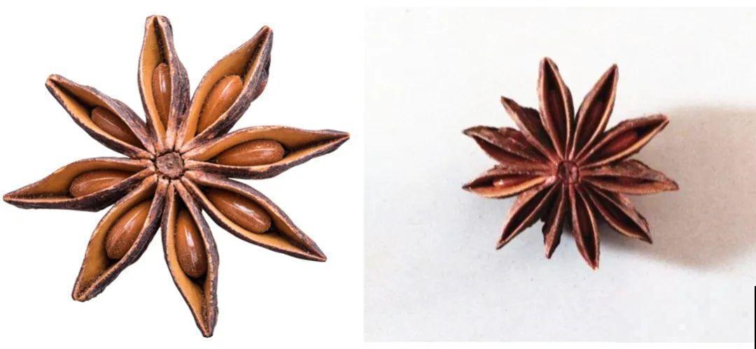 医院铁树结果，却被摘走30颗，园丁师傅吓坏了！