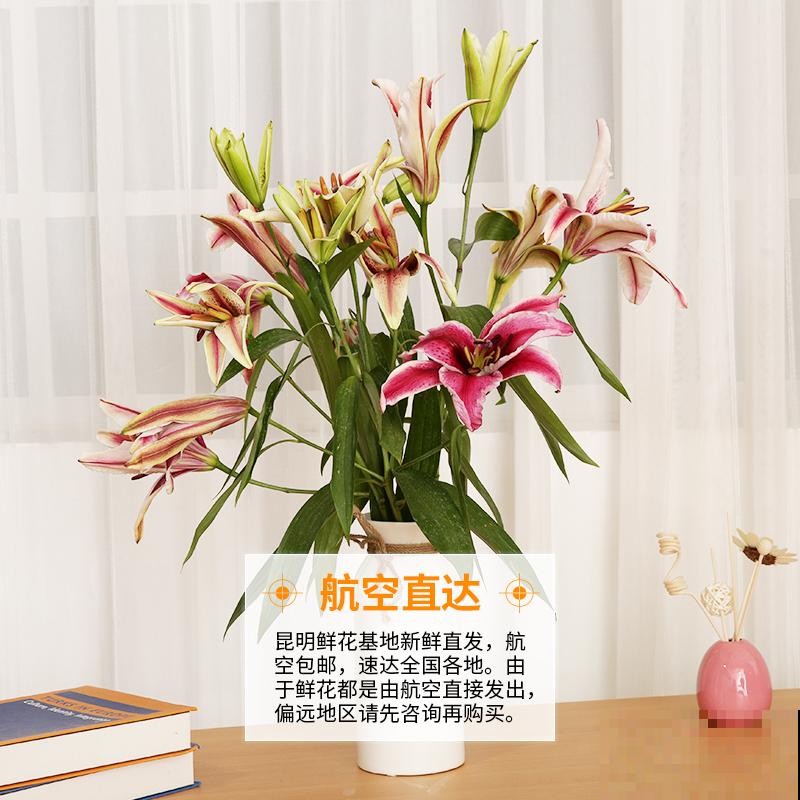 4种花爆崽能力强，种一盆等于种多盆，送给邻居特开心