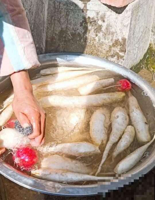 冬天买萝卜，看见这三种，再便宜也别买