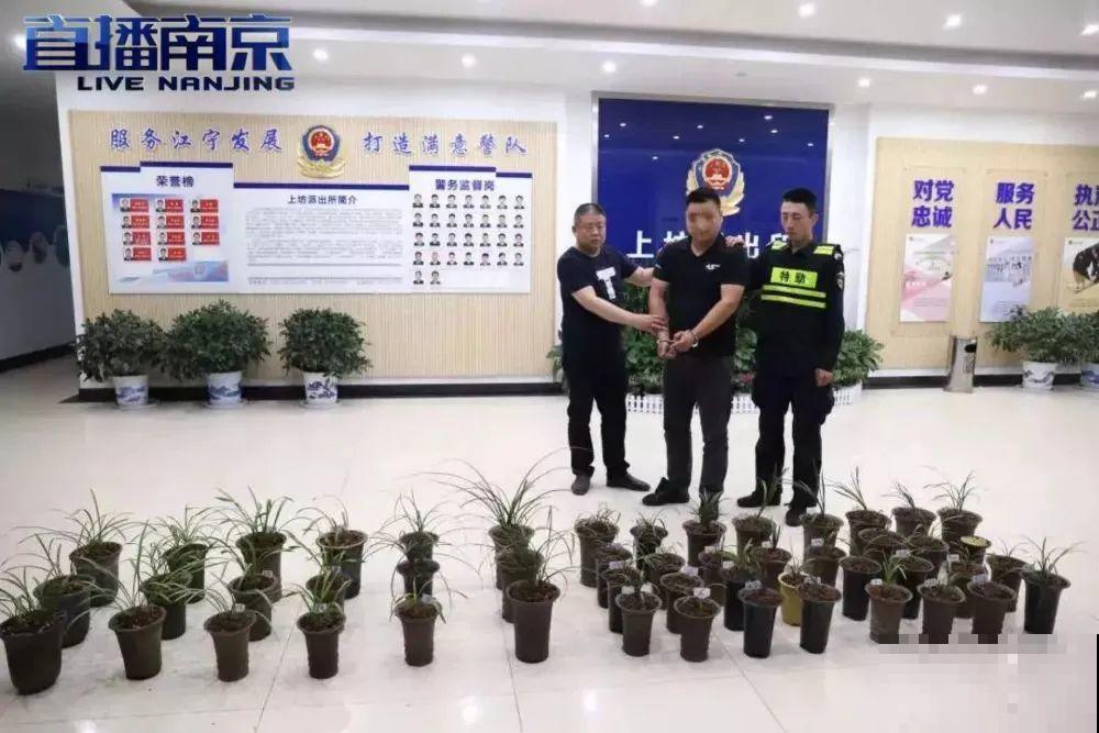 千万不要动我的花,以免赔的倾家荡产! 千万不要动我的花,以免赔的倾家荡产!