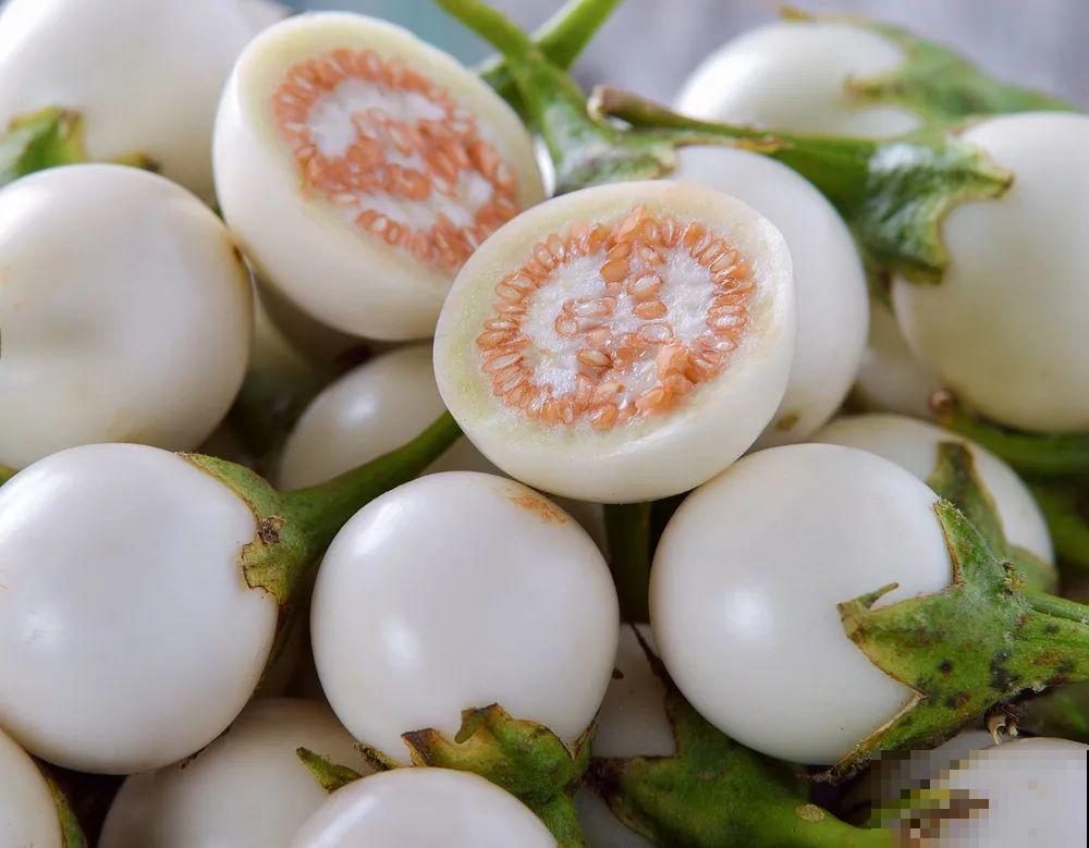 南瓜个头大的出奇，卖了2万8，比养猪还赚钱