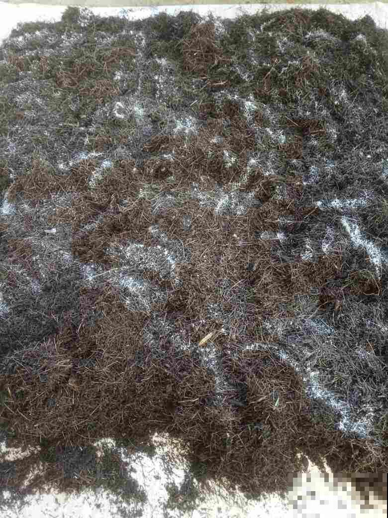 不要钱的植料，野外溜一圈就能找到，便宜好用关键是透气