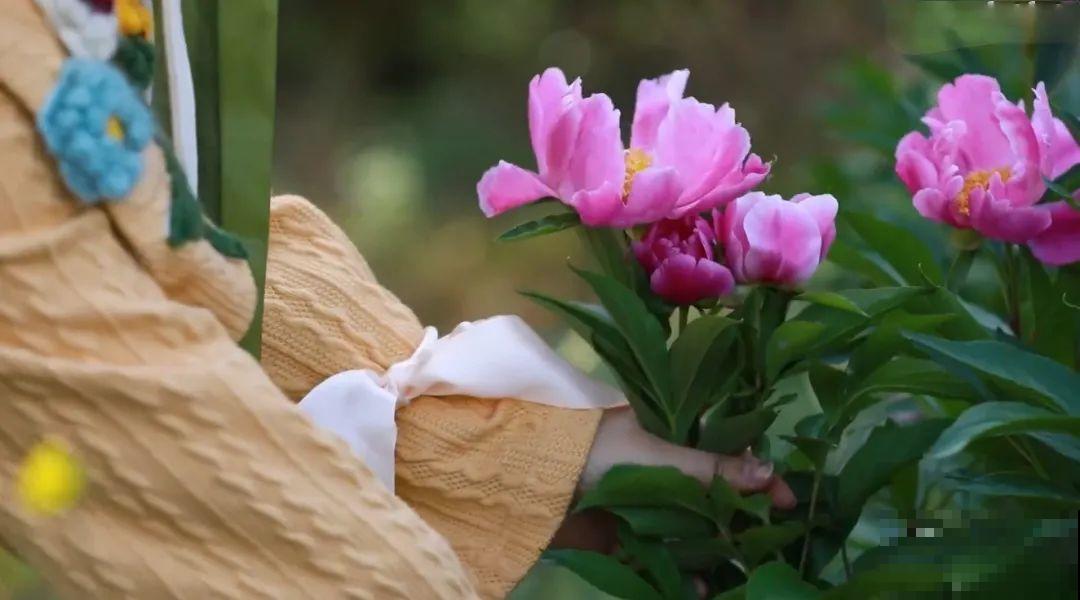 3年的时间，老院子变成大花园，过上塔莎奶奶一样的日子！