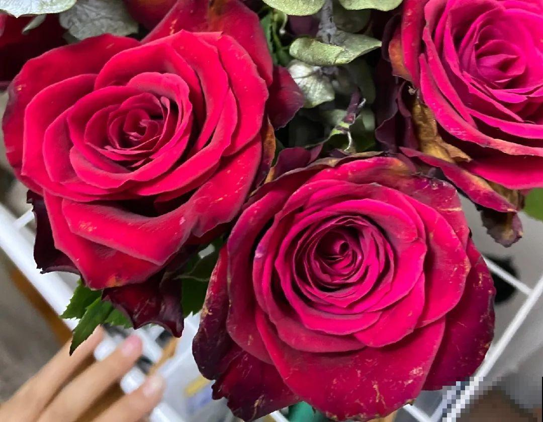 染色大葱？卫生纸一擦就掉色，真细思极恐