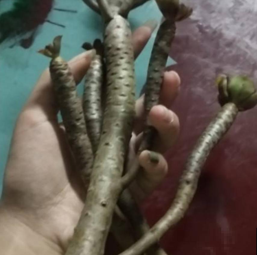 那些被你浪费的“珍宝”,快去捡回来,否则错过“一个亿” 那些被你浪费的“珍宝”,快去捡回来,否则错过“一个亿”