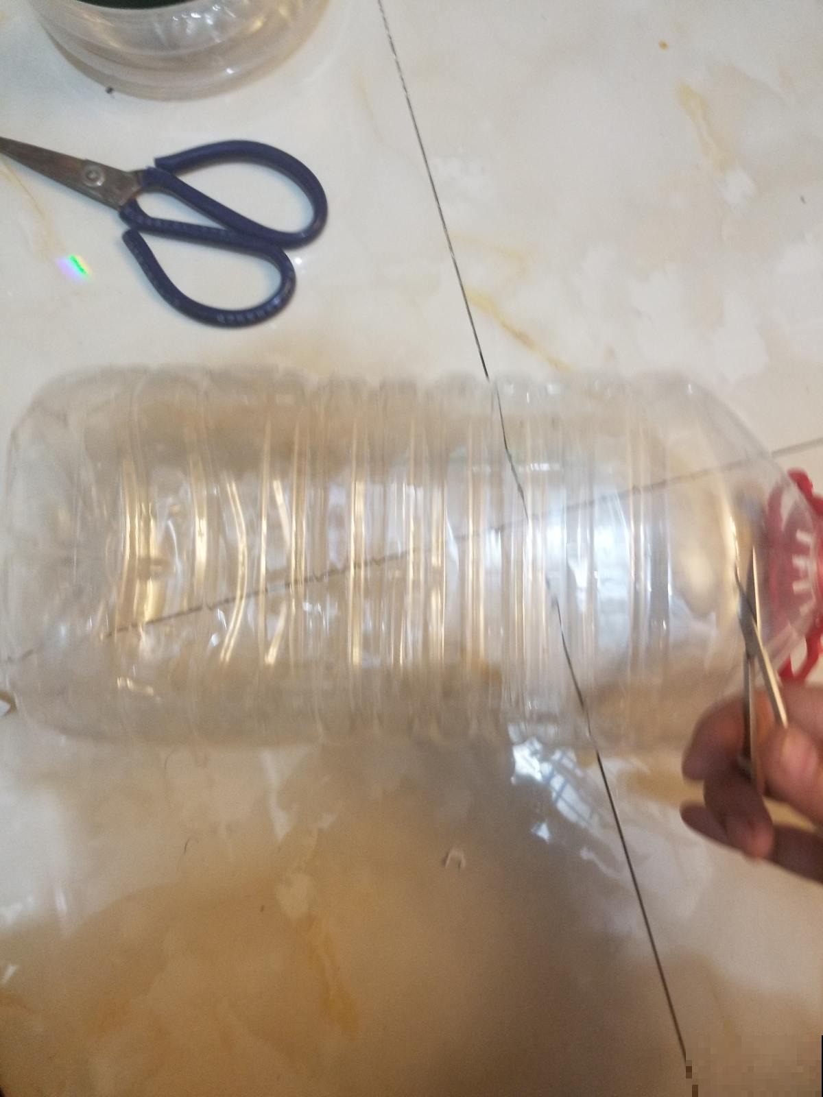 阳台种菜有讲究，记好这几点，随时都有新鲜蔬菜吃！