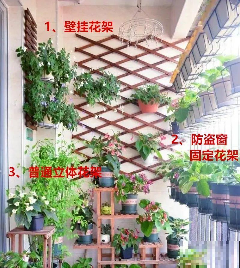 阳台党的烦恼，没有院子，只能挖空心思养花