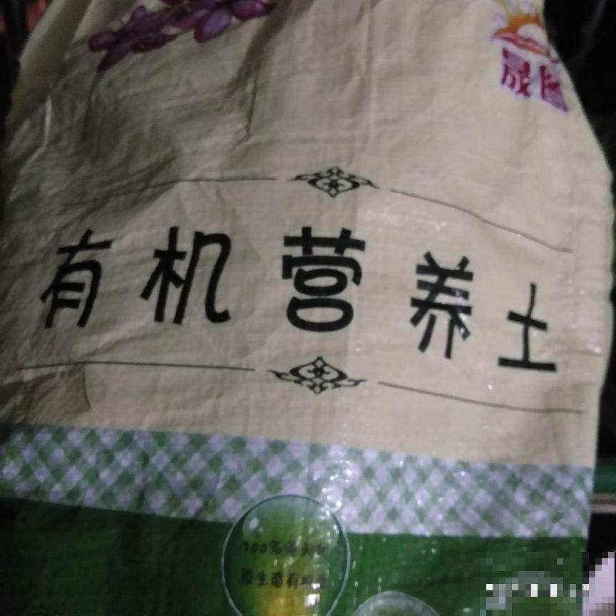 春天养花最好用营养土，好处有3点，性价比超高