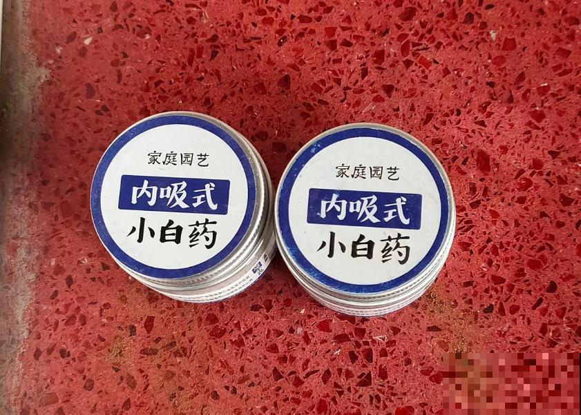 在家里养花,再穷也不能省这3样,能提高养花幸福感 在家里养花,再穷也不能省这3样,能提高养花幸福感