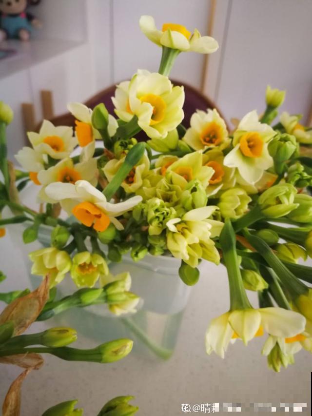 颜值超高的年宵插花，不比盆栽差，买回家就能赏花