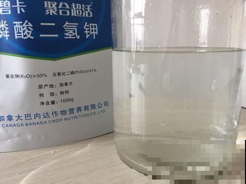 养花用磷酸二氢钾，不知道这些，花草越长越差！