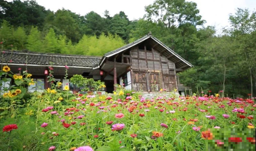 3年的时间，老院子变成大花园，过上塔莎奶奶一样的日子！