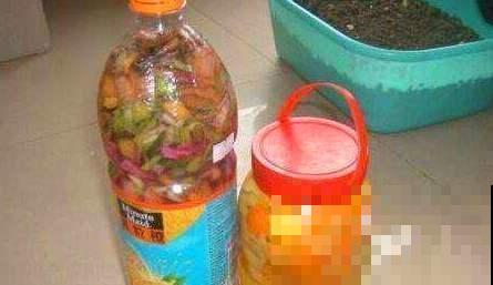 养花不用施肥!养花“万能”水,养出漂亮花卉! 养花不用施肥!养花“万能”水,养出漂亮花卉!