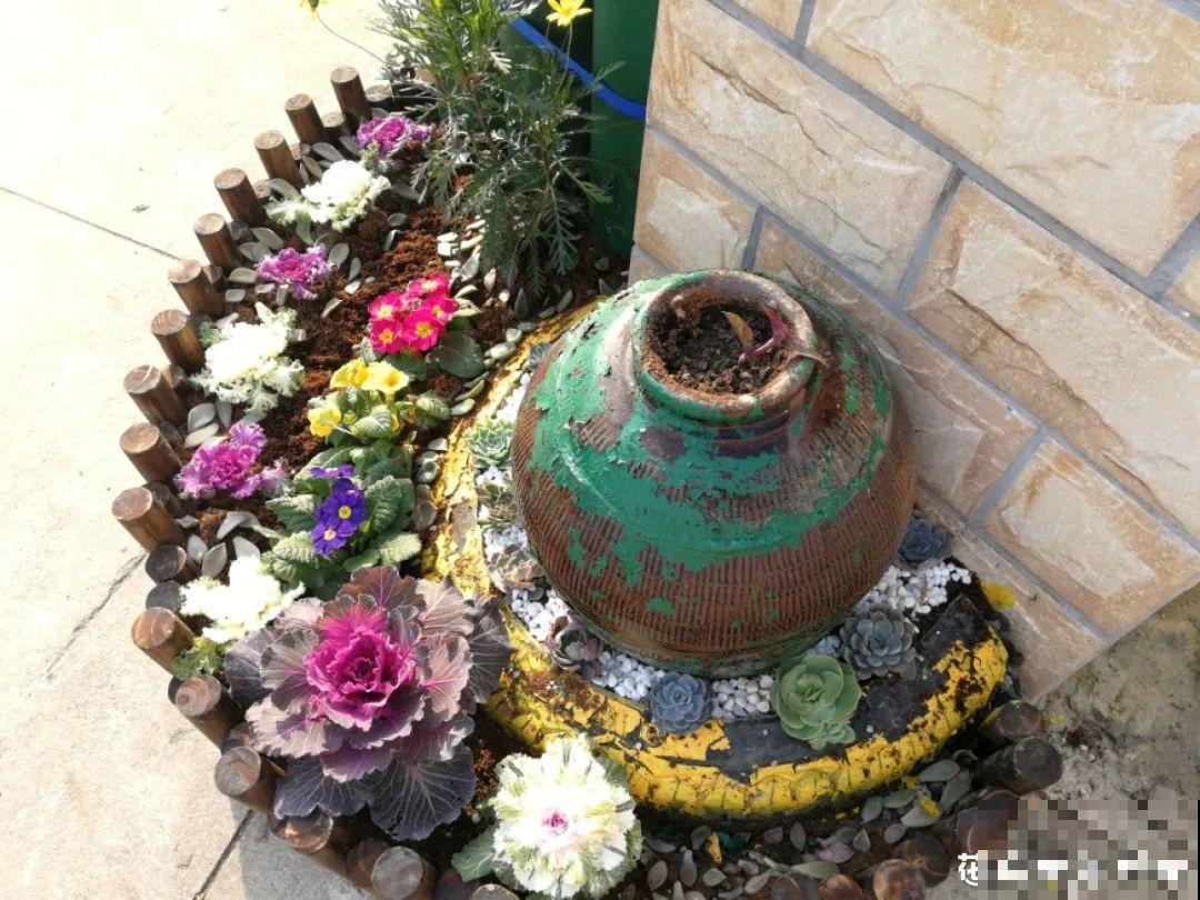 10个养花偏方,一般人我不告诉他,养花太好用 10个养花偏方,一般人我不告诉他,养花太好用