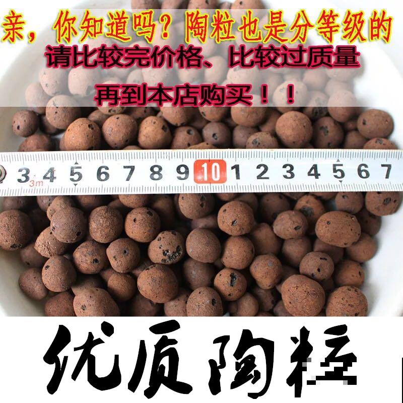 花盆底部垫点小东西，不漏土不闷根，植物长得特壮