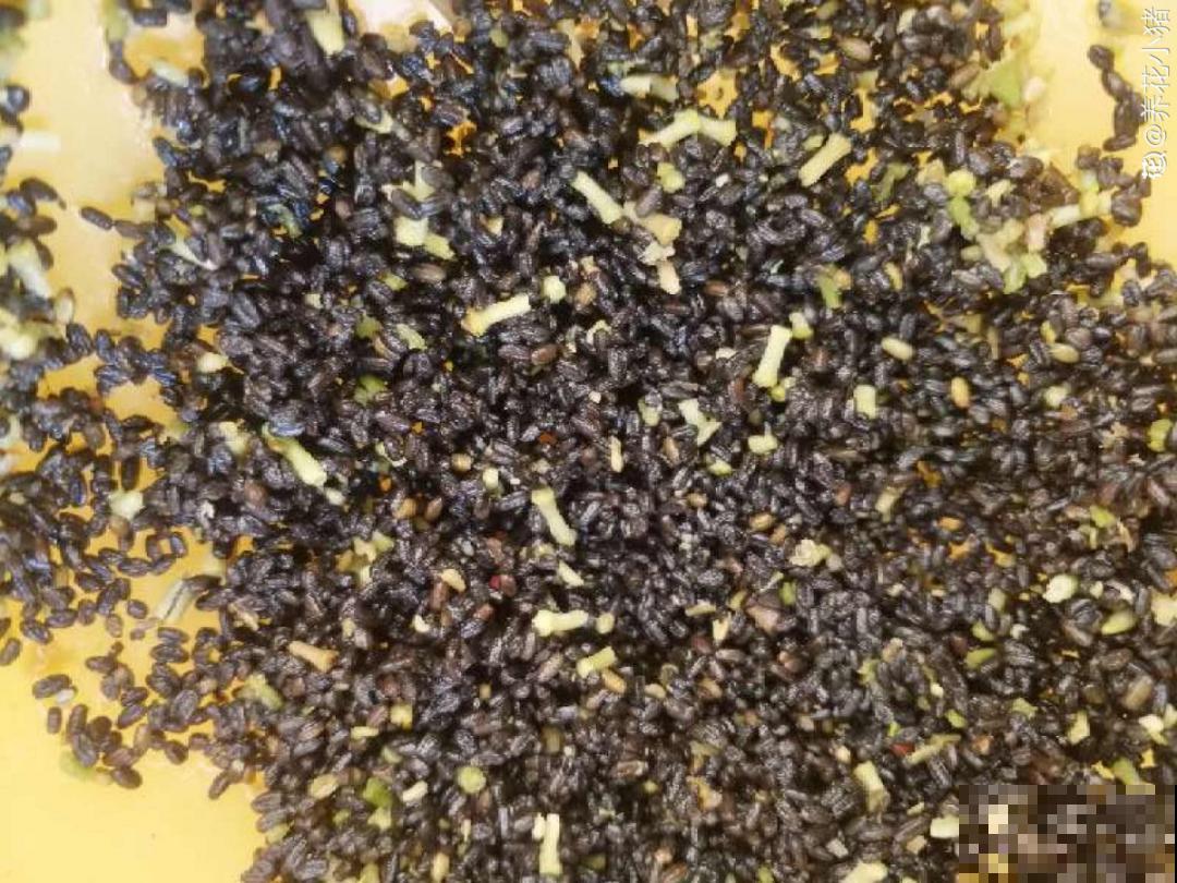 买花种子总是不对版,记住这些种子,少上当! 买花种子总是不对版,记住这些种子,少上当!