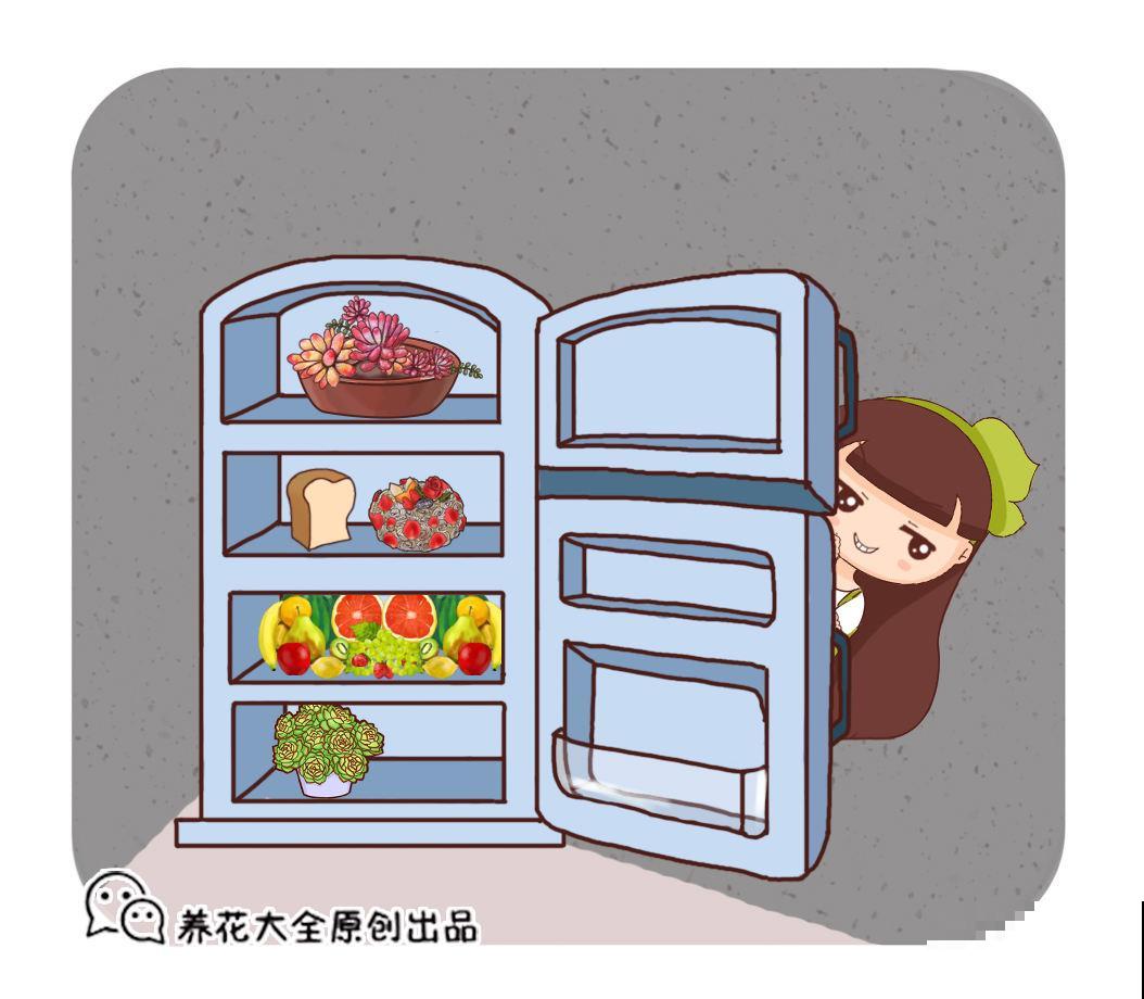 冰箱总结冰，实在是太费电，记住这6招就省不少电