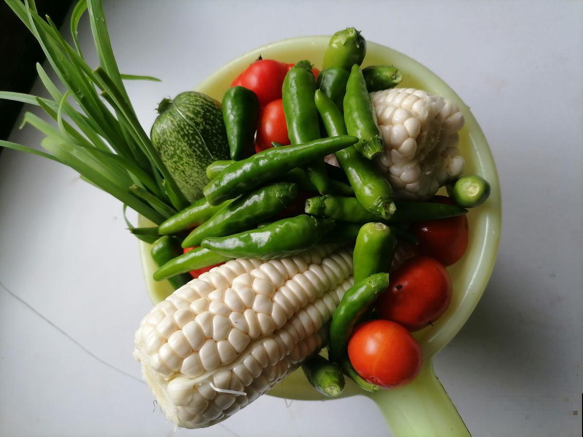 过年总是吃得油腻，不如吃3种蔬菜，清口解腻减轻负担