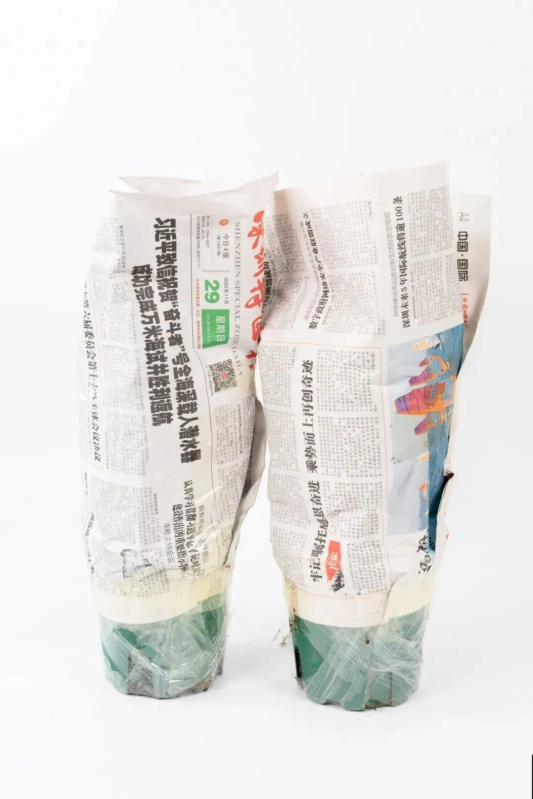 倒挂金钟开花像吊灯，满盆能开上百朵，颜值超高