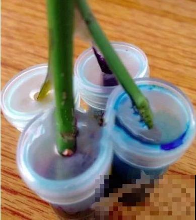 染色大葱？卫生纸一擦就掉色，真细思极恐