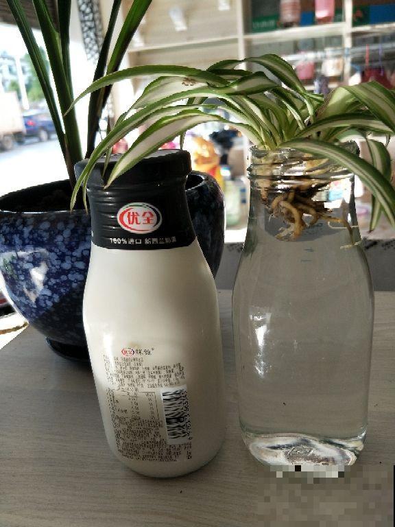 5类人，喝牛奶相当于白喝，伤身还费钱