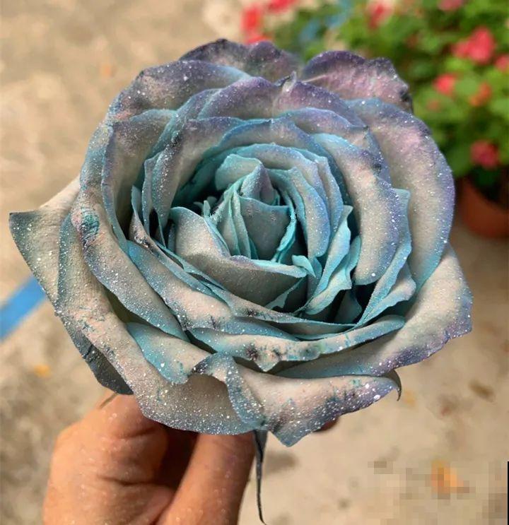 染色大葱？卫生纸一擦就掉色，真细思极恐