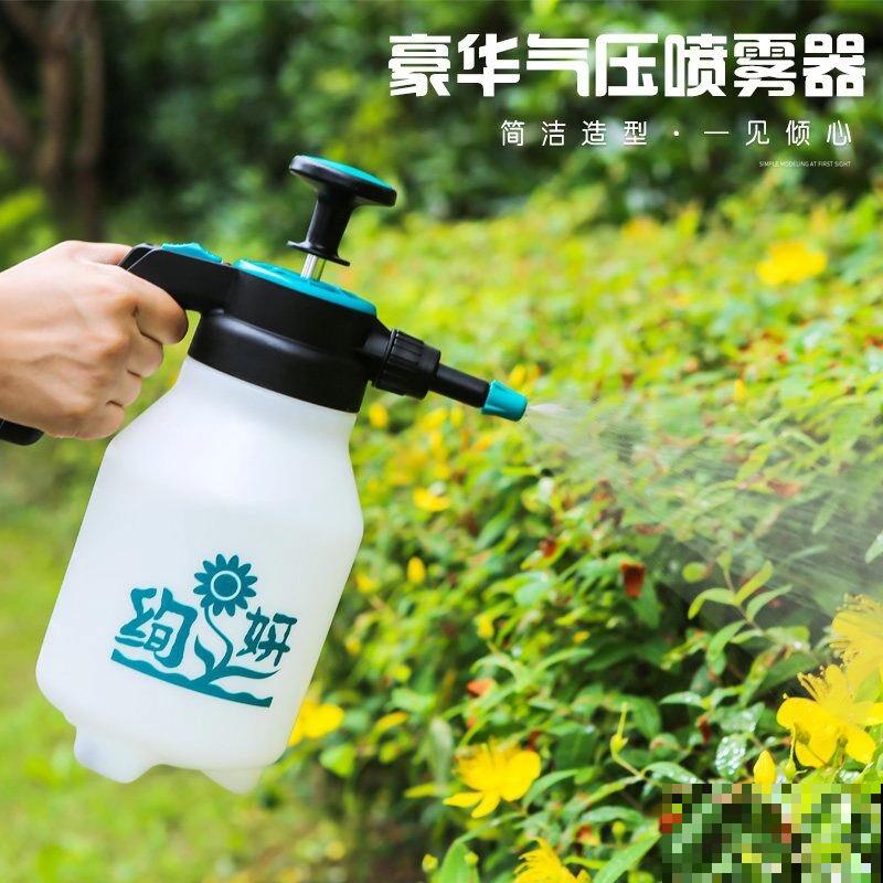 老花匠的养肉秘方，避开5个坑，才能养出结实多肉