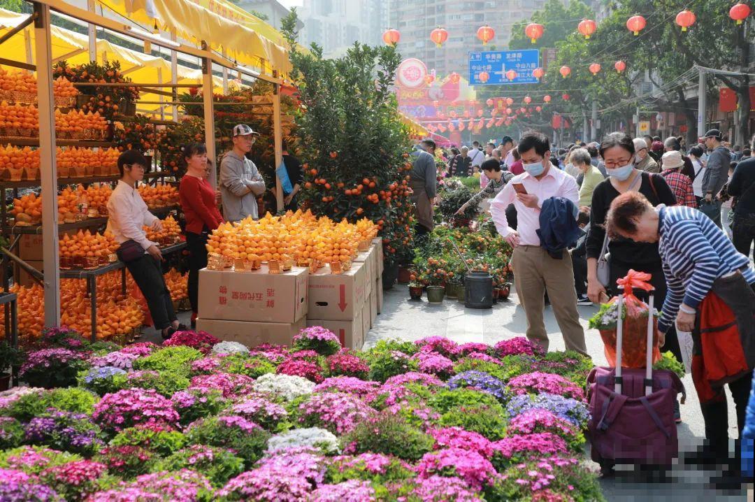 中国最大的6个花市，去过一个就爱上，大开眼界！