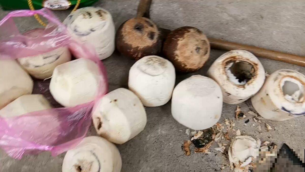 家里的垃圾别丢掉，拿来种多肉，省下一大笔钱