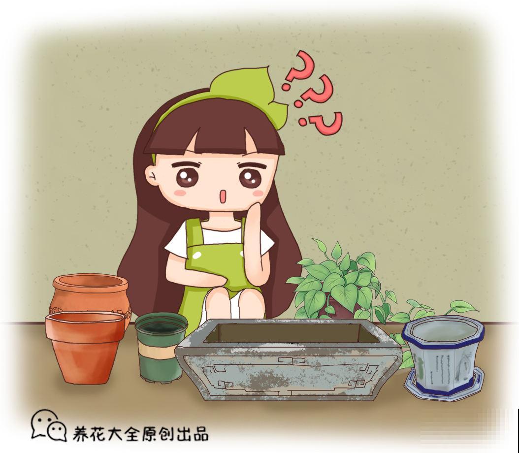 养花选盆很关键！选不好花盆，养再多花也没用！