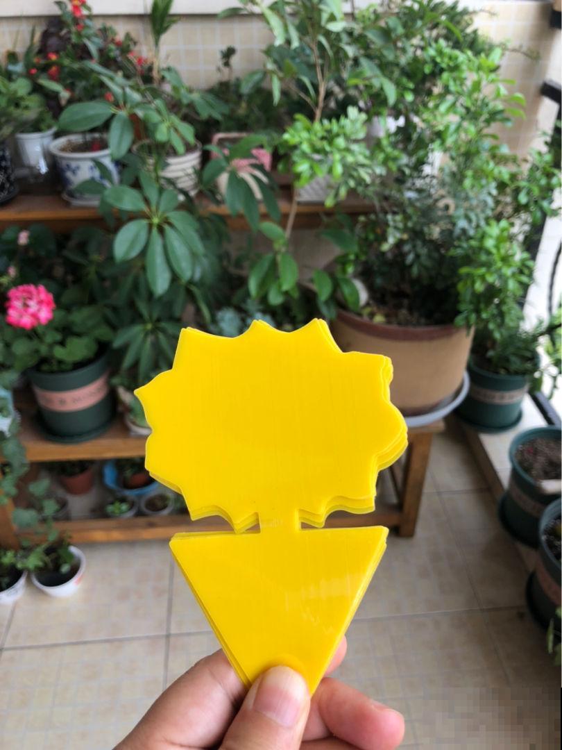 春天快到了，植物容易遭受虫害，学会治疗方法最重要