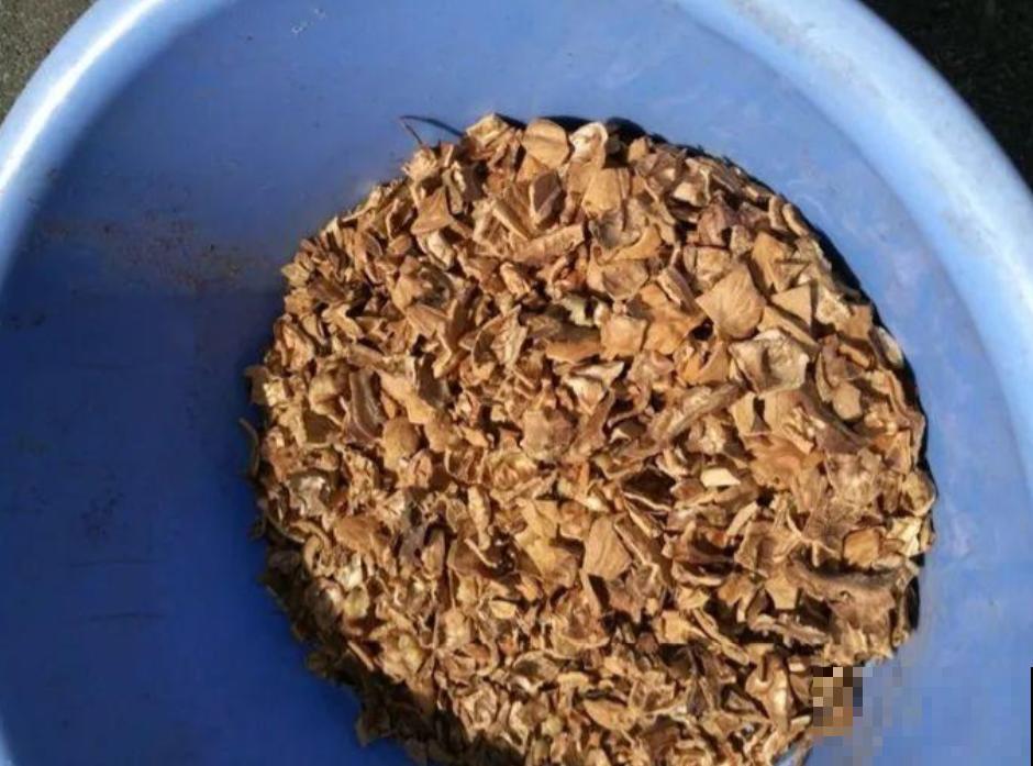 换盆用它垫盆底，养花效果非常好，花卉越长越旺盛！