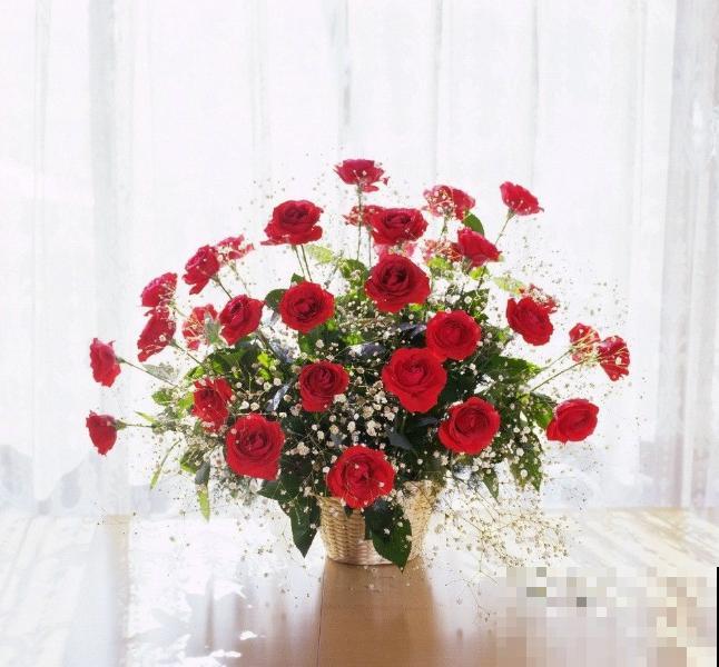 鲜花保鲜的秘密，学会这4个小方法，让你的花多开半个月！