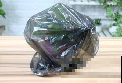 废弃塑料袋堆成山？囤起来养花，效果非常好！