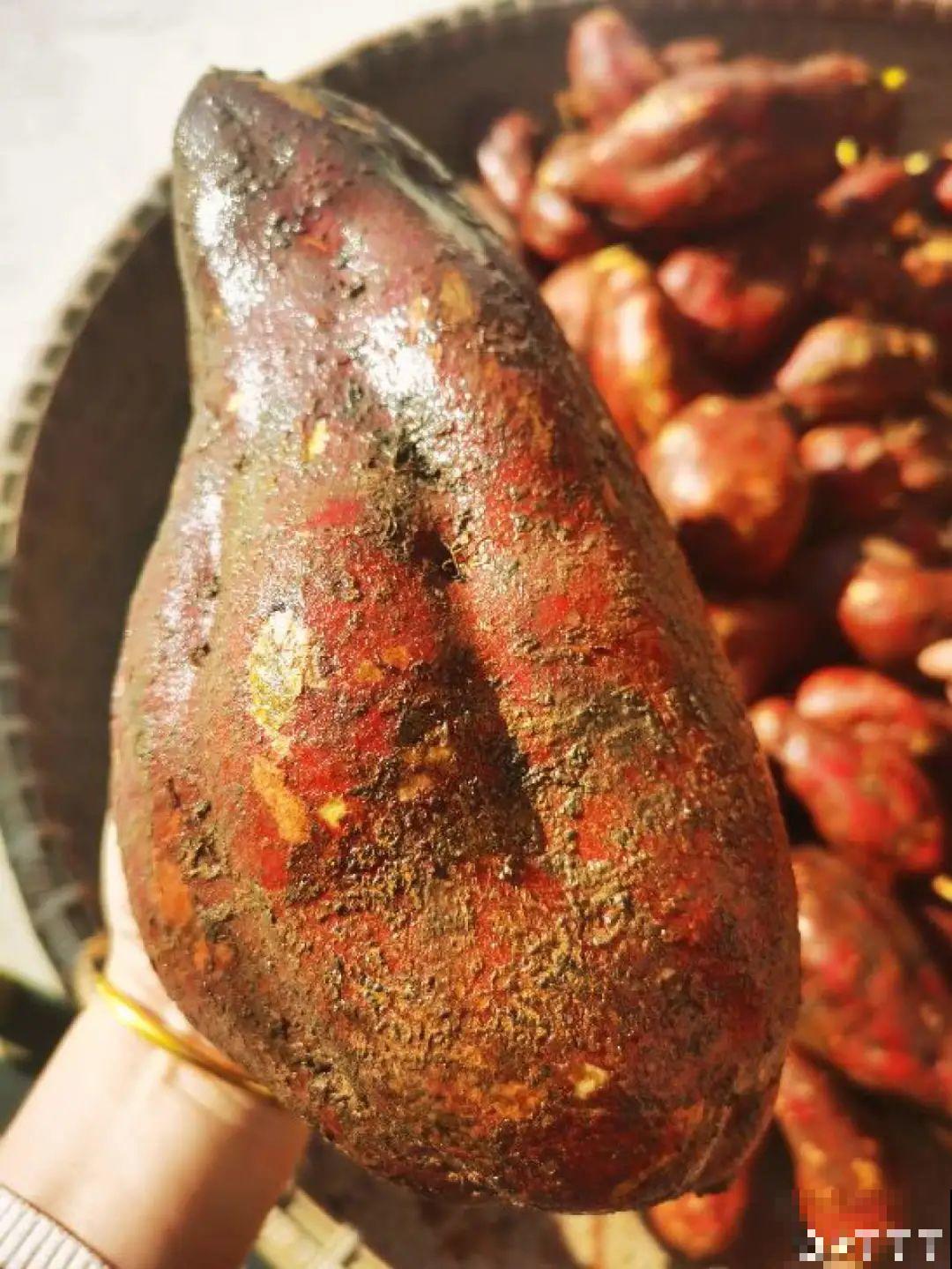 吃完的菜根切下来，埋土里就冒芽，以后不用买菜了！