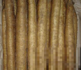 挑选山药不能光看大小,这4个要点很重要,记住就能挑到好山药 挑选山药不能光看大小,这4个要点很重要,记住就能挑到好山药