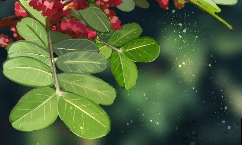 清香木真的很“清香”,家里养一盆,根本不用买香薰! 清香木真的很“清香”,家里养一盆,根本不用买香薰!