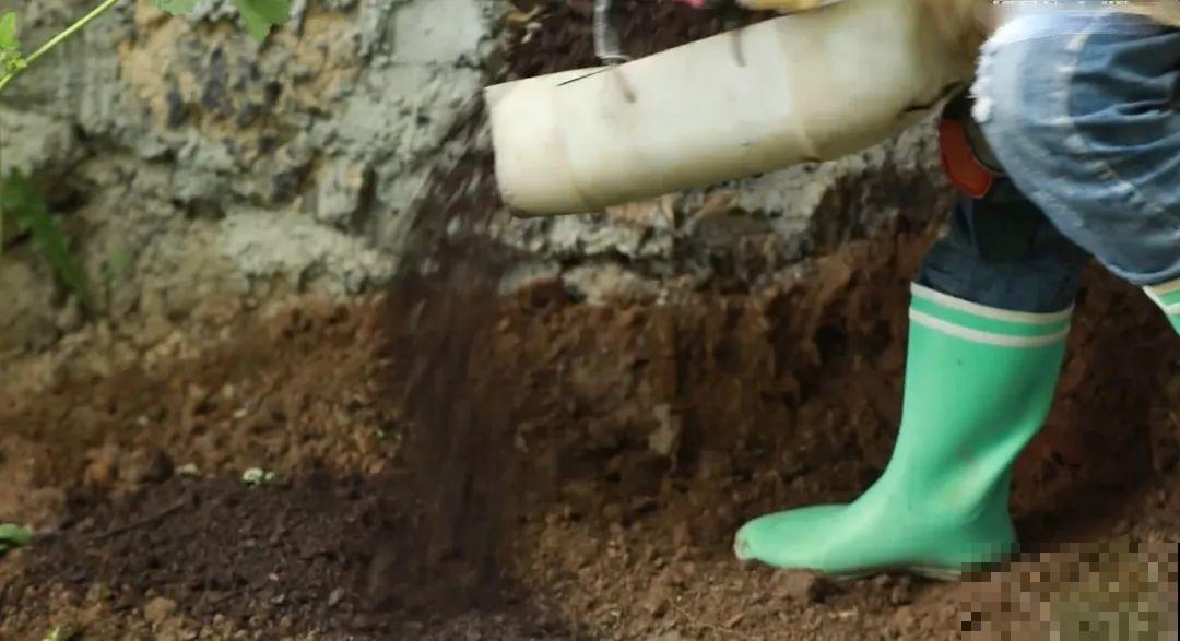 3年的时间，老院子变成大花园，过上塔莎奶奶一样的日子！