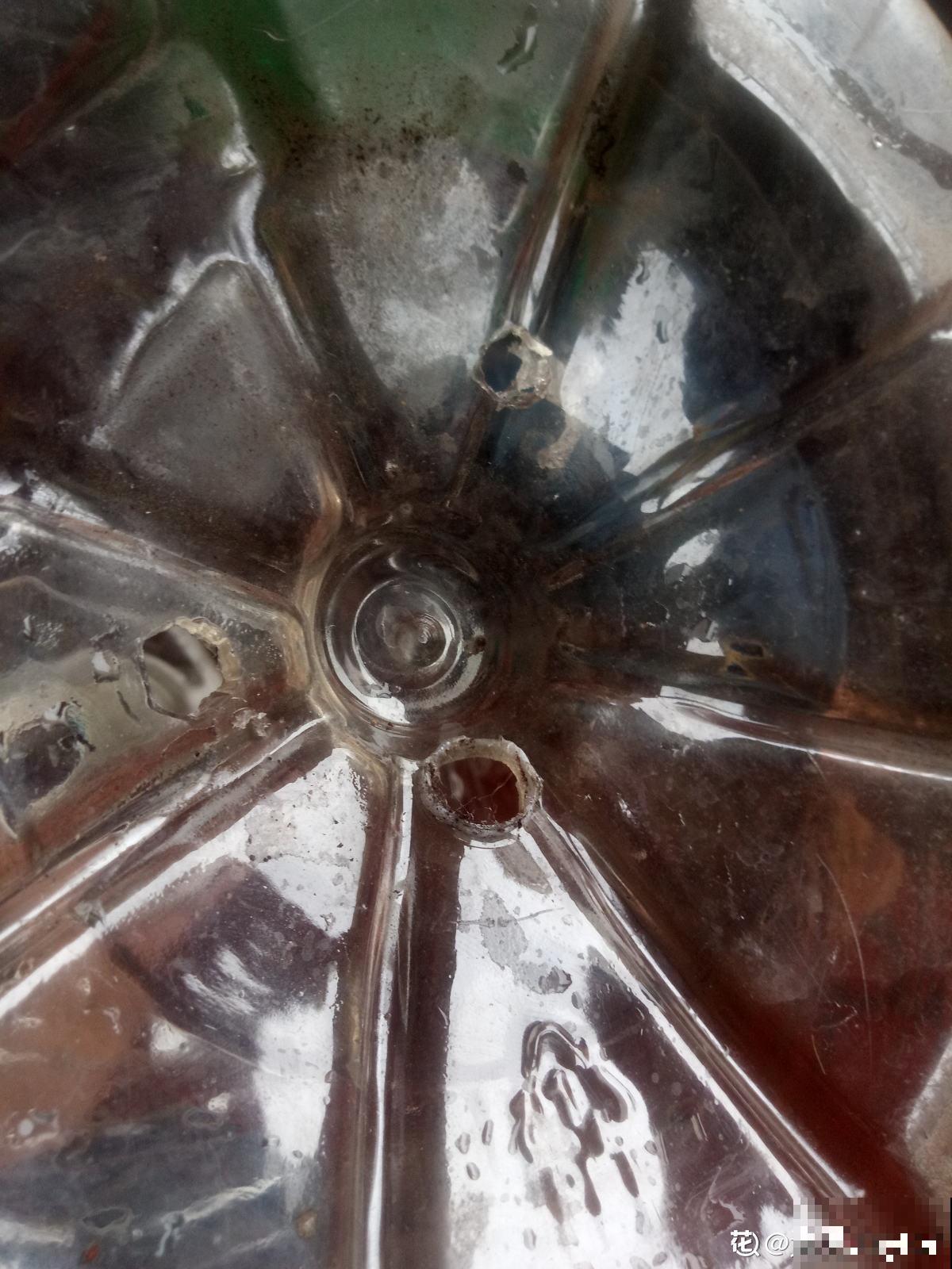 油桶用来种菜，省地儿还省钱，扔掉就是扔钱！