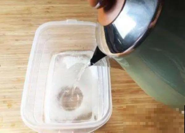用这几种小东西代替生根剂，枝条生根快又多，实用又省钱！