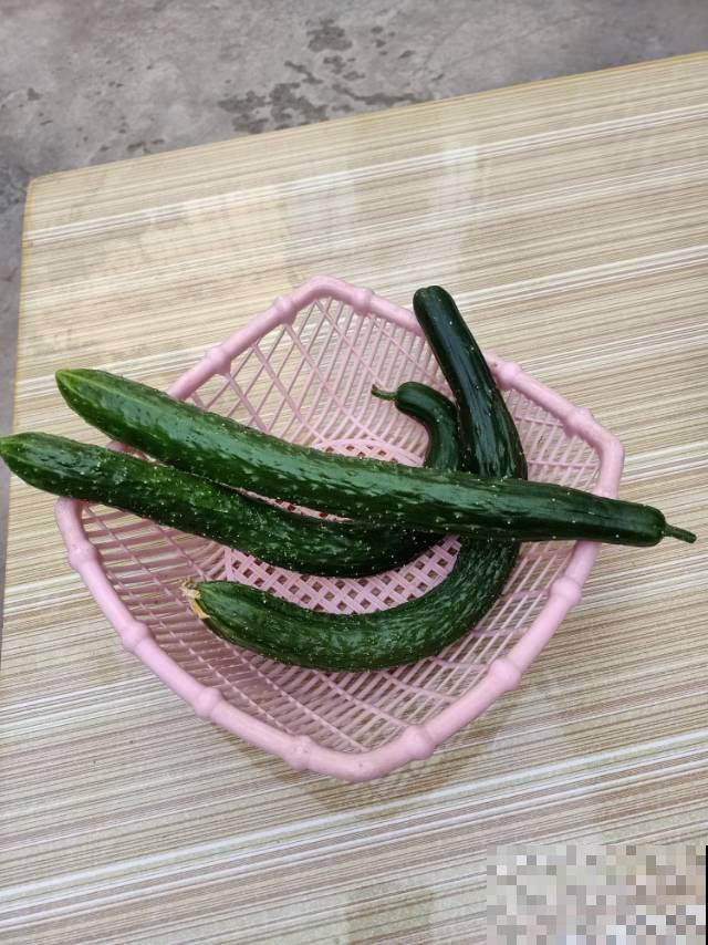 过年总是吃得油腻，不如吃3种蔬菜，清口解腻减轻负担