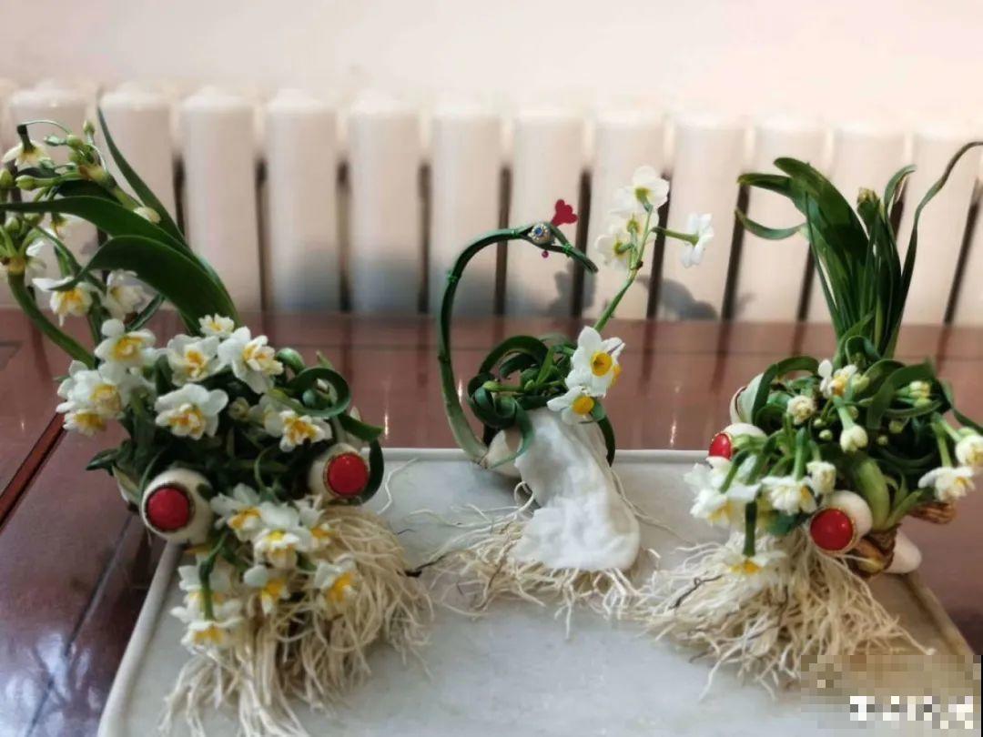 牙签串大蒜，冒充七彩水仙？千万别上当！