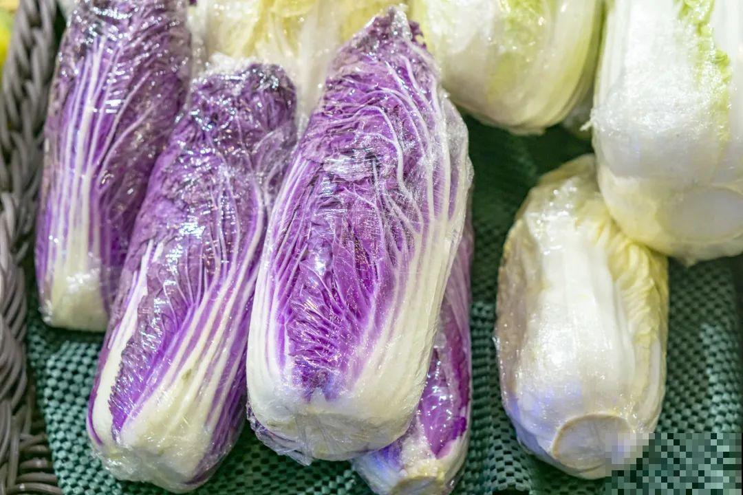 南瓜个头大的出奇，卖了2万8，比养猪还赚钱