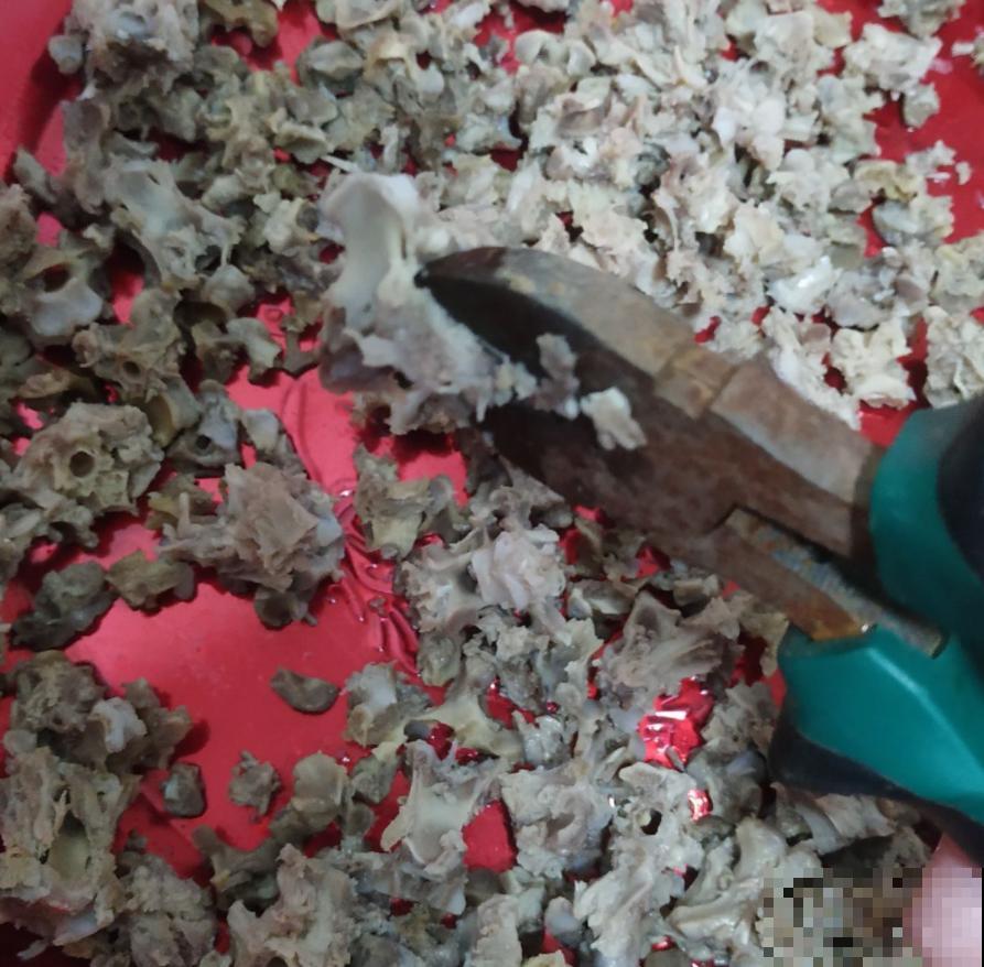 氮磷钾肥不用买，找点“垃圾”就能做，省下钱去吃大餐！