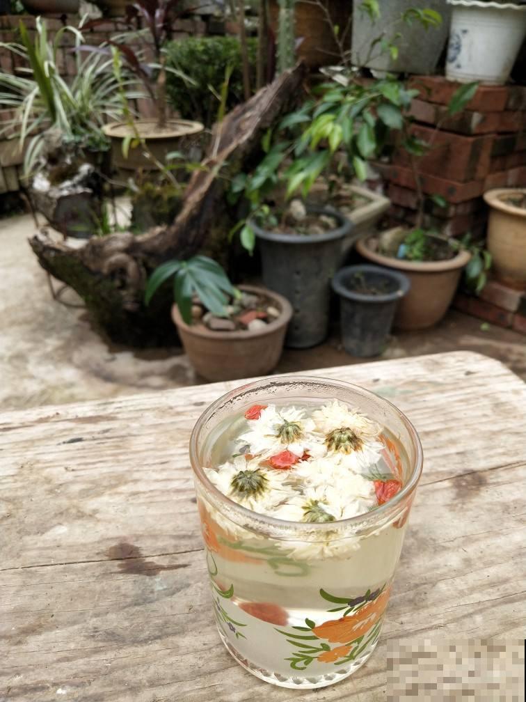 市场卖的菊花茶，发现有这3个特点，千万别买！