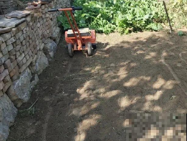 5年的花园，消失只要3天，全没了……