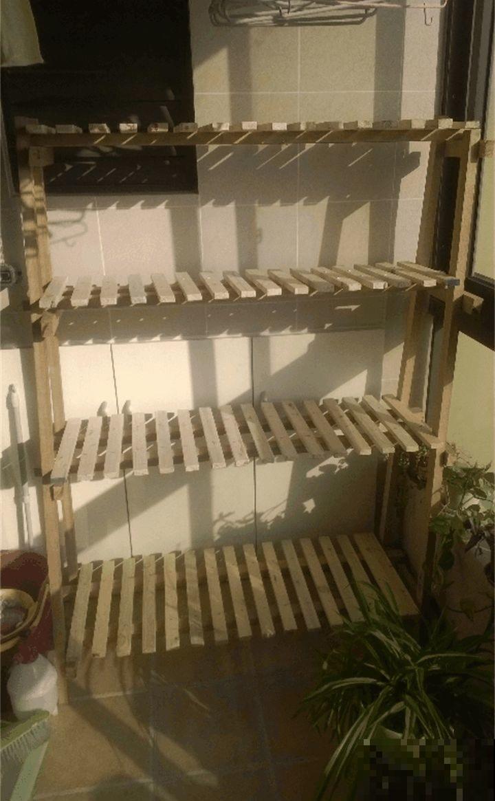 室内养花光照不充足？3个小方法，教你“自制光照”！